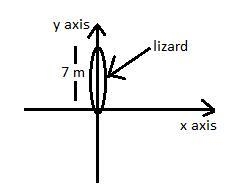 What are the horizontal and vertical components of a lizard’s displacement if it has-example-1