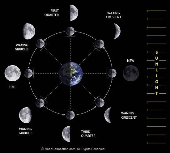 Draw a picture showing the possible phases of the moon in this binary star system-example-1