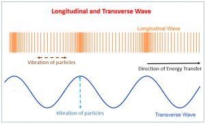 N. What is longitudinal wave? 0. Define transverse wave.-example-1