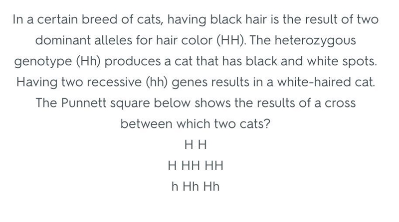 In a certain breed of cats, having black hair is the result of two dominant alleles-example-1