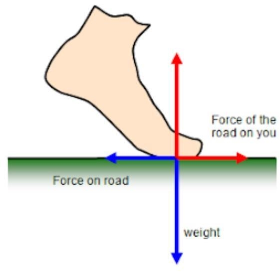 Using newton’s third law Why am I able to walk for ward-example-1