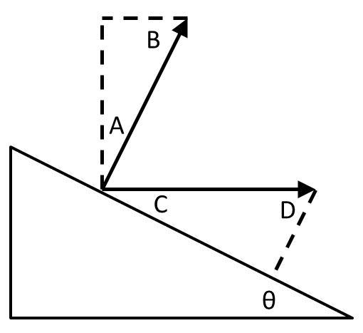 What points has the same angle as theta?-example-1