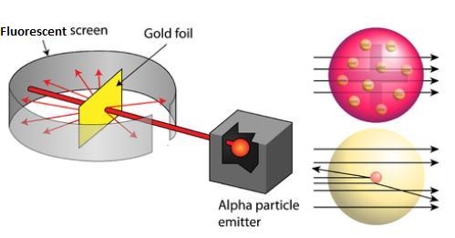 The gold foil experiment led to the conclusion that each atom in the foil was composed-example-1