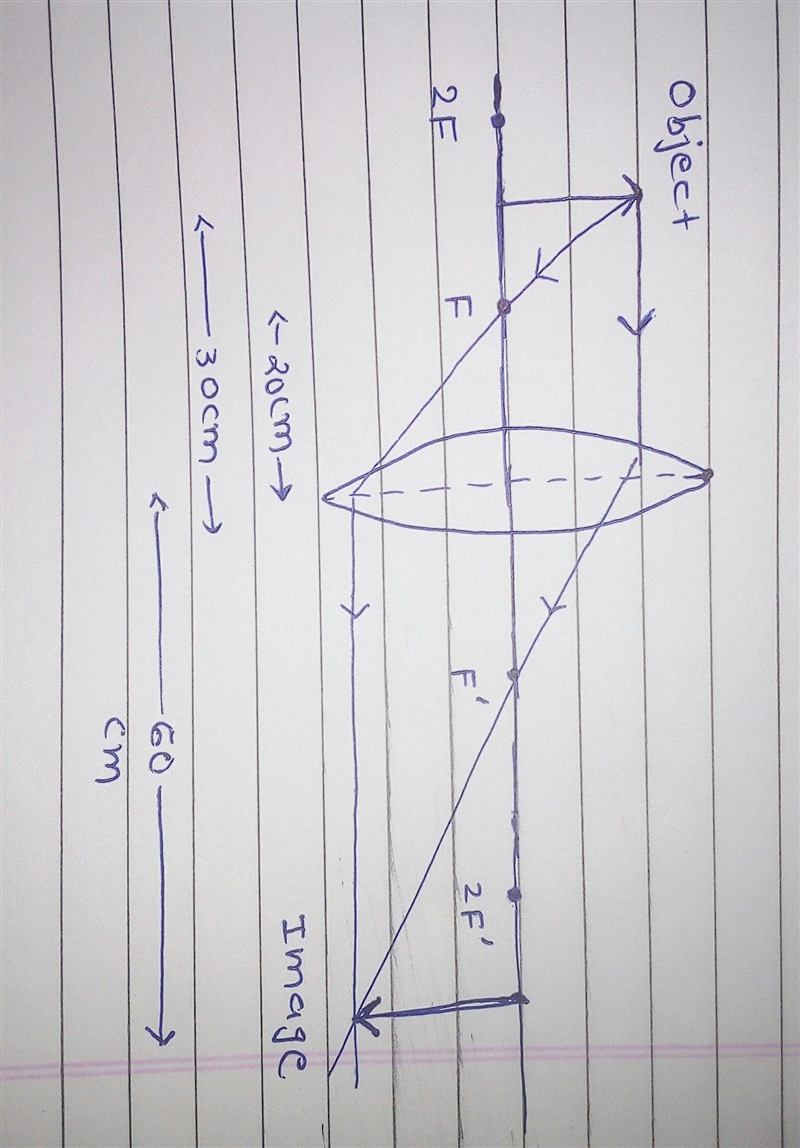 draw a labelled ray diagram to locate the image of an object formed by a convex lens-example-1