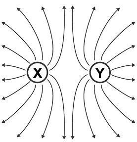 The diagram shows two charged objects, X and Y. Based on the field lines, what are-example-1