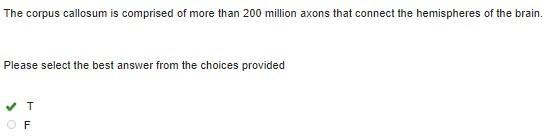 The corpus callosum is comprised of more than 200 million axons that connect the hemispheres-example-1