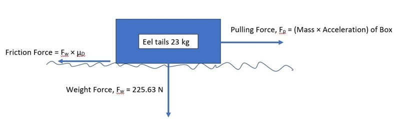 Draw a force diagram of a 23kg box of eel tails being pulled with a rope horizontally-example-1