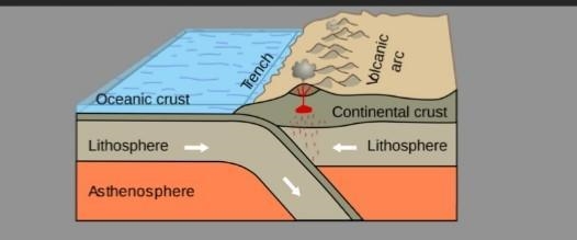 Which of the following features are found at an oceanic-continental convergent plate-example-1