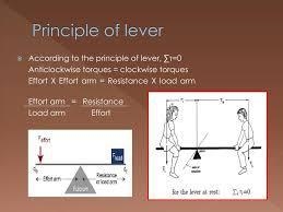 What is the working principle of lever​-example-1