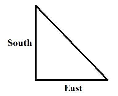 A cat walks 1.5km South and then 2.4km East. What is the total displacement of the-example-1