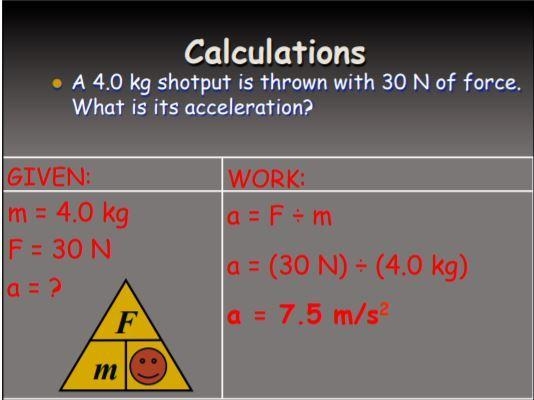 can someone please write this analysis of the force magnitudes calculated in problems-example-1