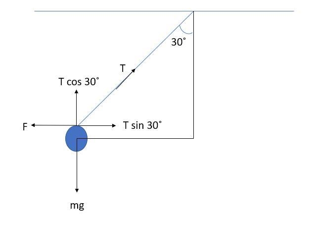 A trapeze artist, with swing, weighs 800 N; he is momentarily held to one side by-example-1