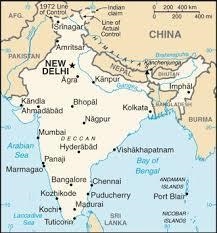 Draw a rough sketch of india to show the densely populated states any two​-example-1