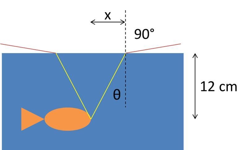 A fish inside the water 12cm below the surface looking up through the water sees the-example-1