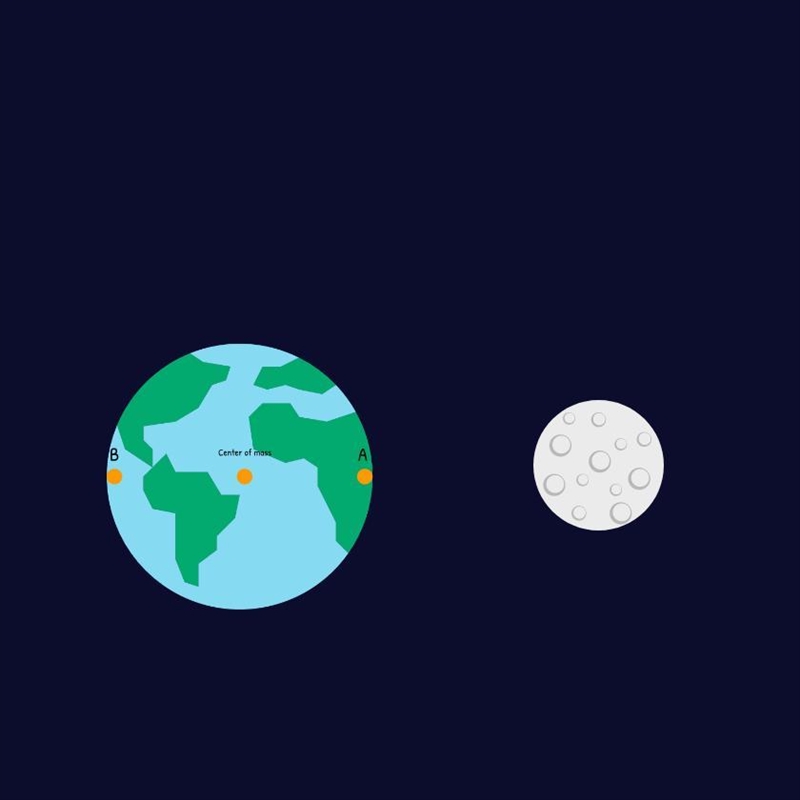 As you watch the video, notice that the size of the tidal bulges varies with the Moon-example-1