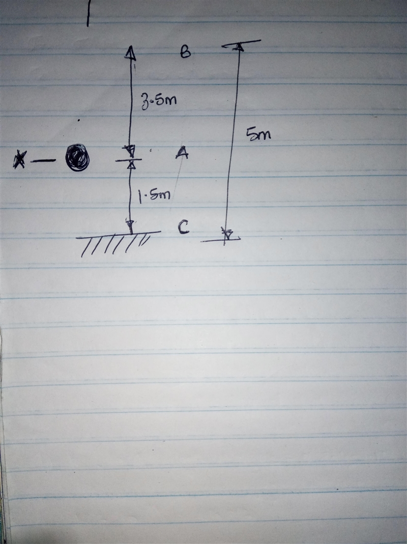 A ball is thrown upward from an initial height of 1.5m the ball reaches a height of-example-1