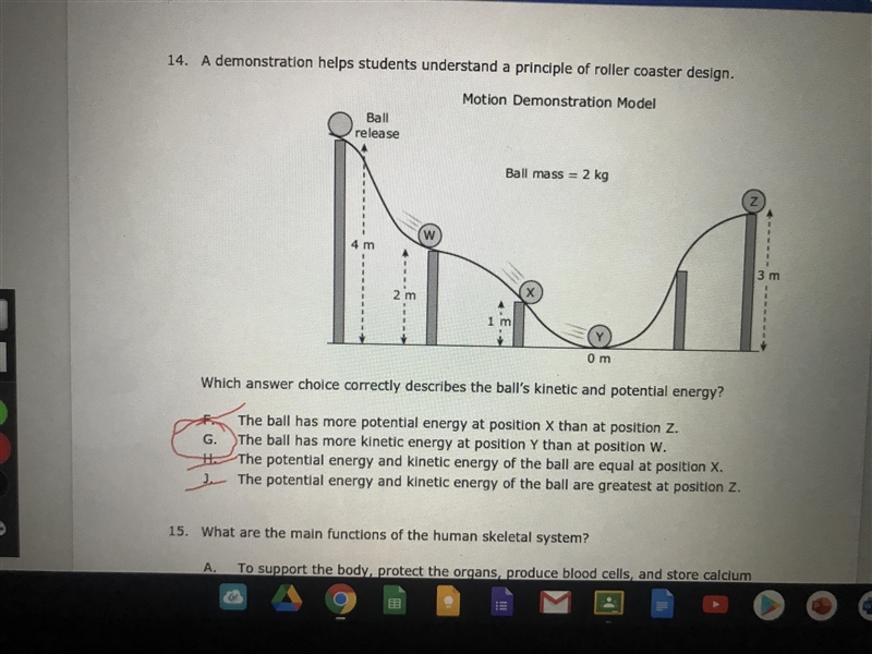 Which answer choice correctly describes the ball's kinetic and potential energy? Group-example-1