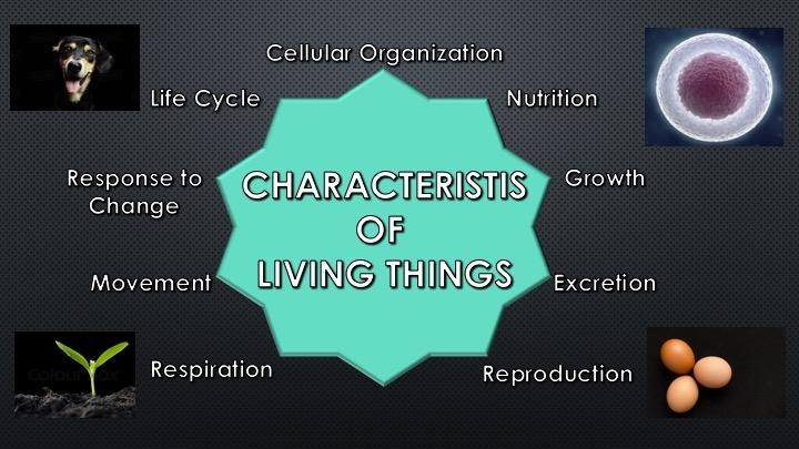 How do we determine if a characteristic of life is common to all living things?-example-1