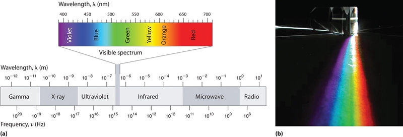 Calculate the wavelength of radiation emitted when an electron falls from the n = 5 to-example-1