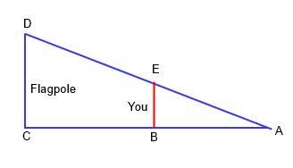 If we want to find the height of an object like a flagpole, we can use triangles. In-example-1