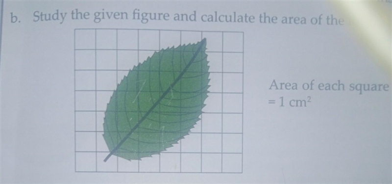 B. Study the given figure and calculate the area of the leaf Area of each square =1 cm-example-1