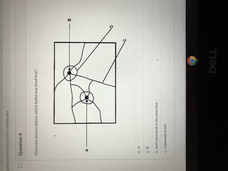 Given the picture below, which bullet was fired first?-example-1