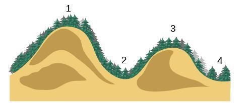 The drawing represents a mountain bike trail. A rider began at Point 1 on the trail-example-1