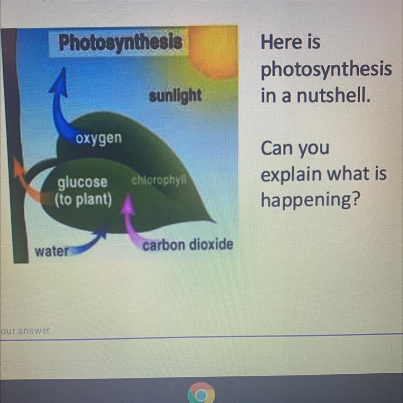 Here photosynthesis in a nutshell. Can you explain what is happening?-example-1