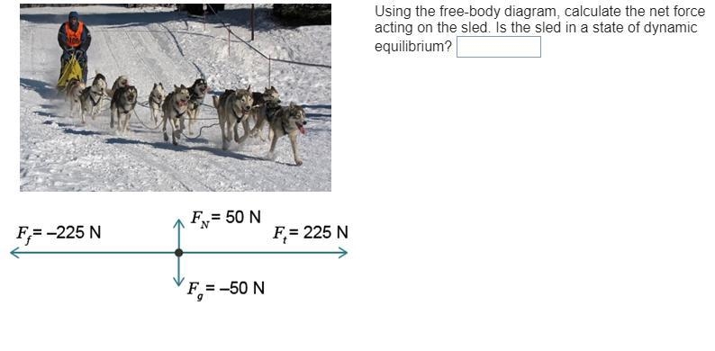 Calculating Net Force-example-1