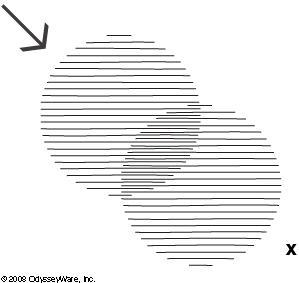 Two polarizers are arranged as shown. How much light will reach point X? 0% more than-example-1