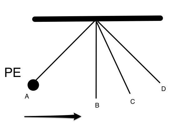 Consider the pendulum. At what point is the kinetic energy the greatest?-example-1