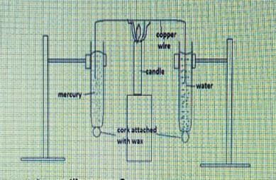 State the observations made in this experiment ​-example-1