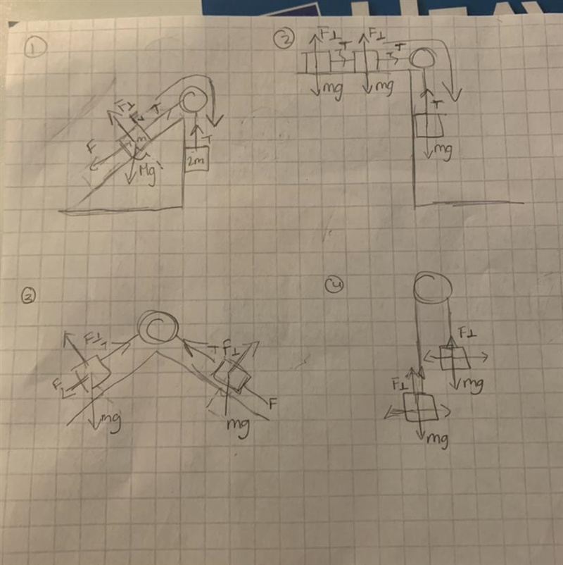 Free body diagram is this correct?-example-1