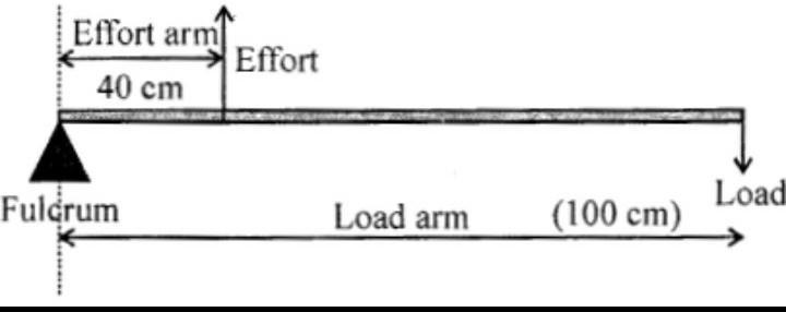 In the given diagram(in the resources) which kind of lever is mentioned? Also calculate-example-1