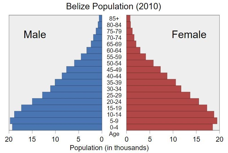 1.) What statement best explains the type of population growth seen in Belize according-example-1