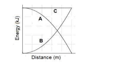 HELLLP PLEASE || the graph below shows a conversion of energy for a skydive jumping-example-1