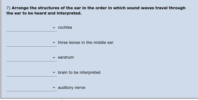 Please help me with this question please-example-1