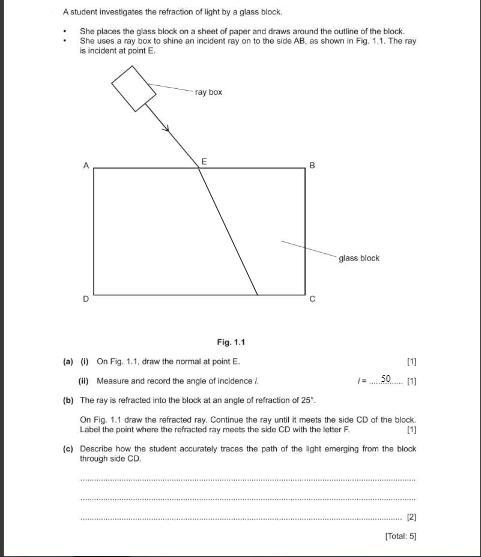 I need the answer to (c): Describe how the student accurately traces the path of the-example-1