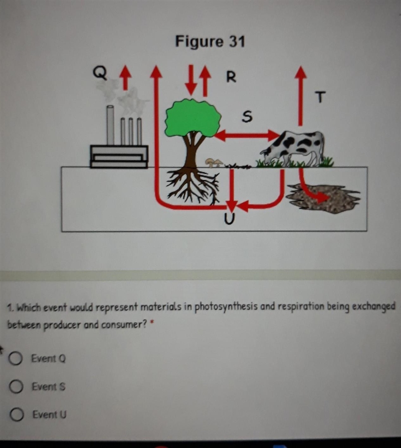 Can anyone help me with this 1. Which event would represent materials in photosynthesis-example-1