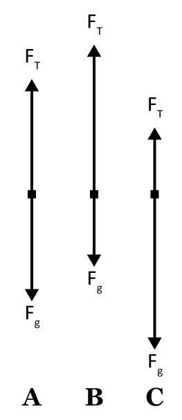 Which of the following free body diagrams shown below would be appropriate for an-example-1