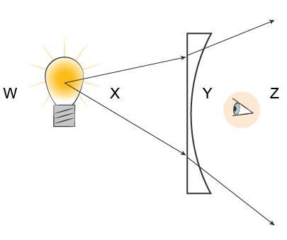 At which point does the image appear? W X Y Z-example-1