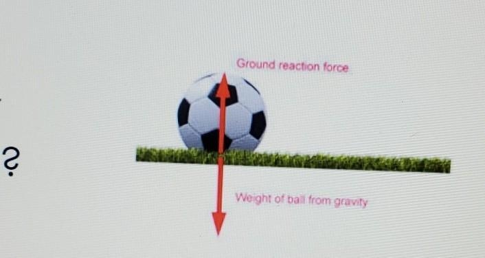 Could you guys tell me whether the photo represents a balanced or unbalanced equation-example-1