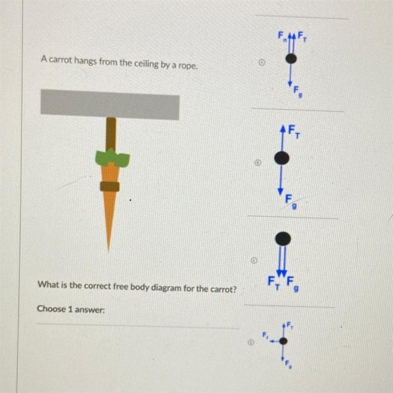 URGENT. A carrot hangs from the ceiling by a rope, What is the correct free body diagram-example-1