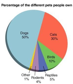 If the number of homes with a pet dog is equal to 250, how many total homes are represented-example-1