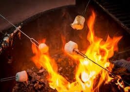 When you cook a marshmallow on a metal poker tool over an open flame, energy is transferred-example-1