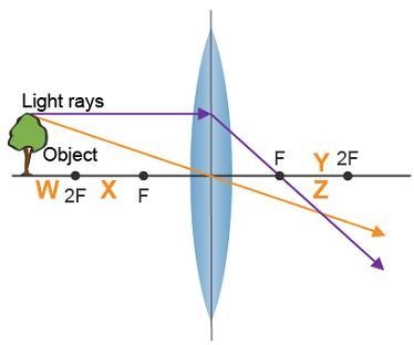 A ray diagram is shown. Which letter represents the location of the image produced-example-1