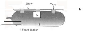 Which of one of Newtons laws are being tested here? Explain how this law relates to-example-1