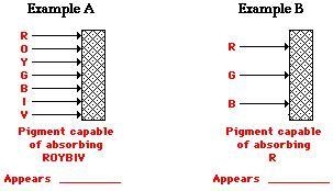 Urgent! Based on the diagram below, what color will each pigmented paper appear to-example-1