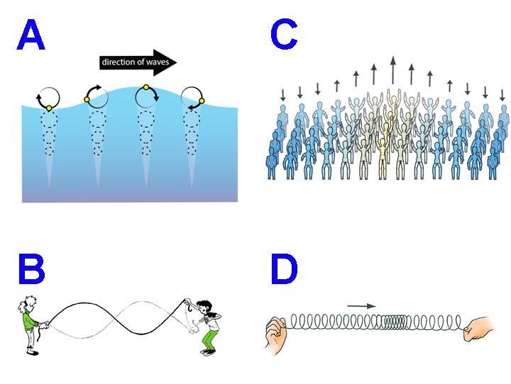 Which illustration best demonstrates longitudinal waves?-example-1