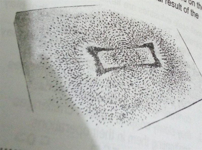 In an experiment, a student placed a sheet of paper on a bar magnet, and iron filings-example-1